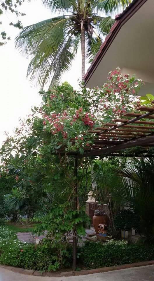 Periwinkle Villa Koh Chang Exterior foto